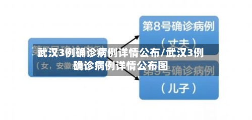 武汉3例确诊病例详情公布/武汉3例确诊病例详情公布图-第2张图片