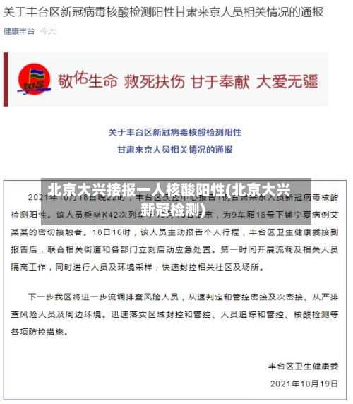 北京大兴接报一人核酸阳性(北京大兴新冠检测)