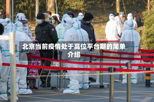 北京当前疫情处于高位平台期的简单介绍