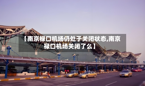 【南京禄口机场仍处于关闭状态,南京禄口机场关闭了么】