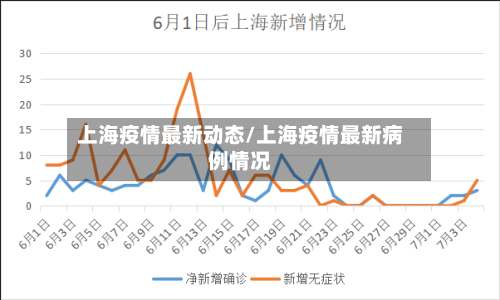 上海疫情最新动态/上海疫情最新病例情况-第3张图片