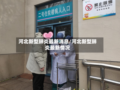 河北新型肺炎最新消息/河北新型肺炎最新情况-第2张图片