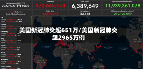美国新冠肺炎超651万/美国新冠肺炎超2965万例