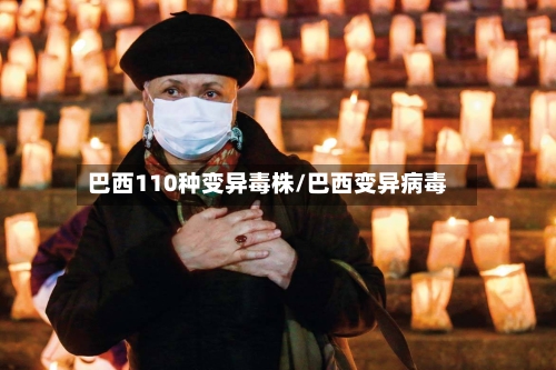 巴西110种变异毒株/巴西变异病毒-第2张图片