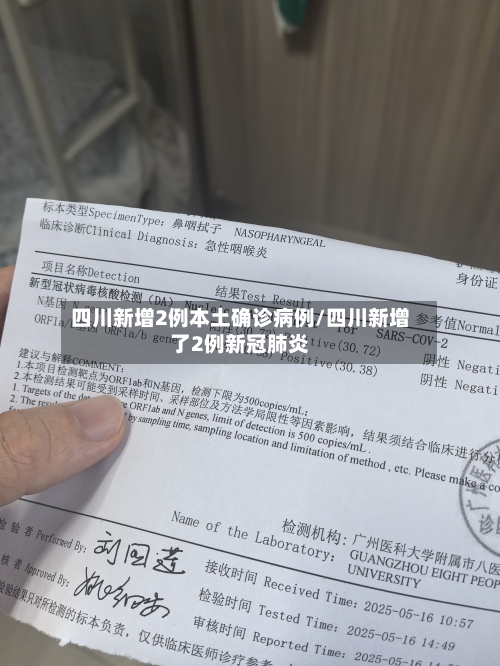 四川新增2例本土确诊病例/四川新增了2例新冠肺炎-第2张图片