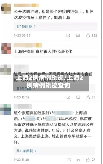 上海2例病例轨迹/上海2例病例轨迹查询