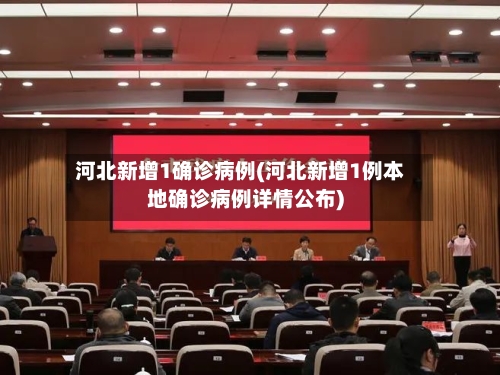 河北新增1确诊病例(河北新增1例本地确诊病例详情公布)-第3张图片