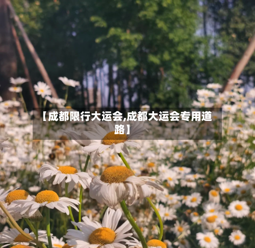 【成都限行大运会,成都大运会专用道路】