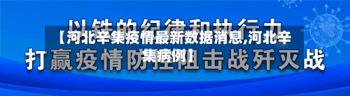 【河北辛集疫情最新数据消息,河北辛集病例】-第2张图片