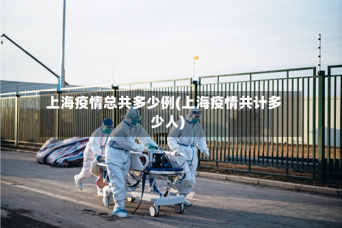 上海疫情总共多少例(上海疫情共计多少人)-第2张图片