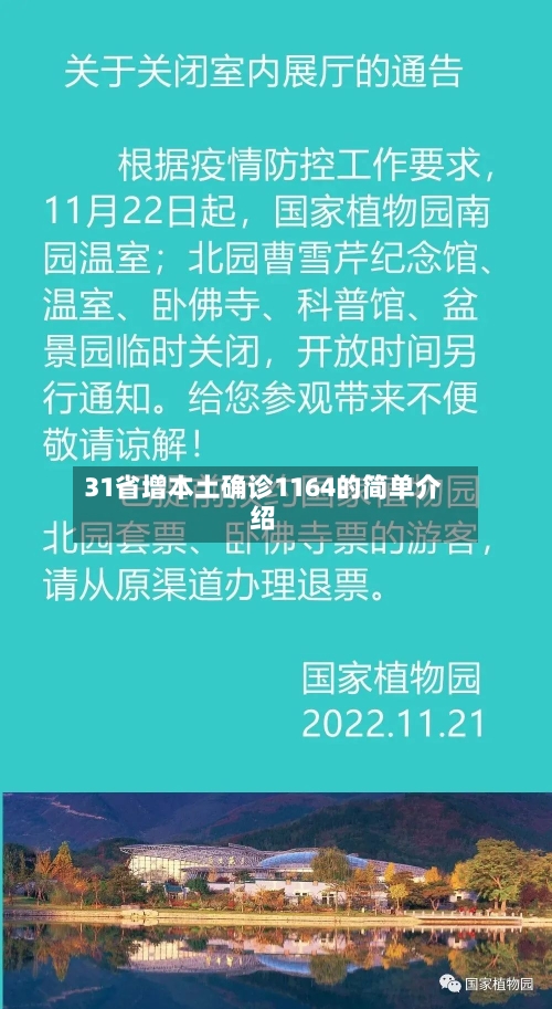 31省增本土确诊1164的简单介绍-第3张图片