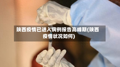 陕西疫情已进入病例报告高峰期(陕西疫情状况如何)-第3张图片