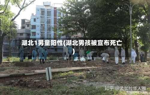 湖北1男童阳性(湖北男孩被宣布死亡)