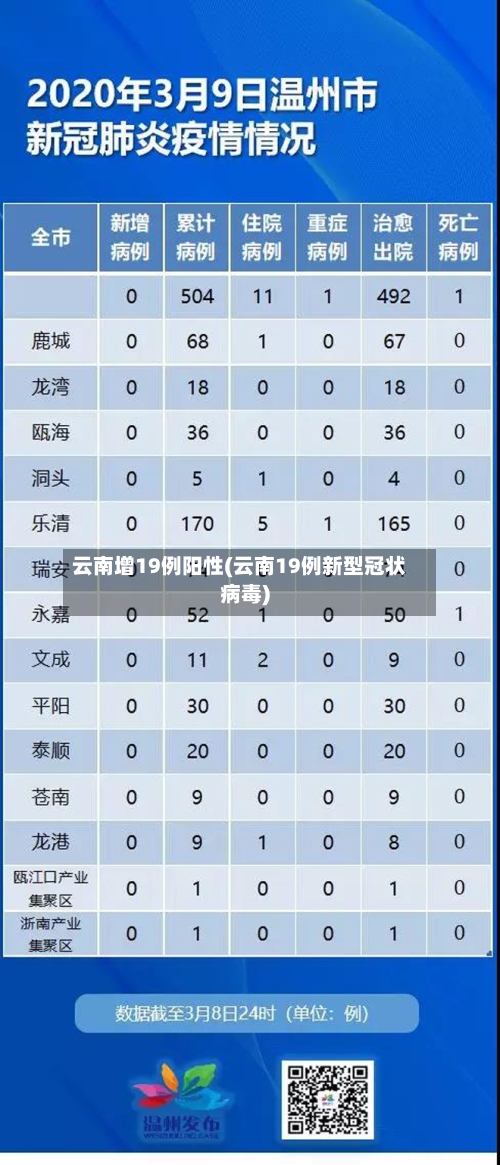 云南增19例阳性(云南19例新型冠状病毒)-第3张图片