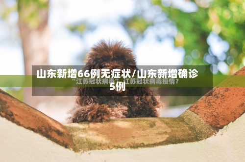 山东新增66例无症状/山东新增确诊5例-第2张图片