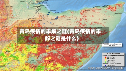 青岛疫情的未解之谜(青岛疫情的未解之谜是什么)
