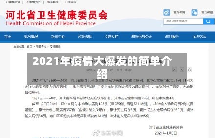 2021年疫情大爆发的简单介绍-第2张图片