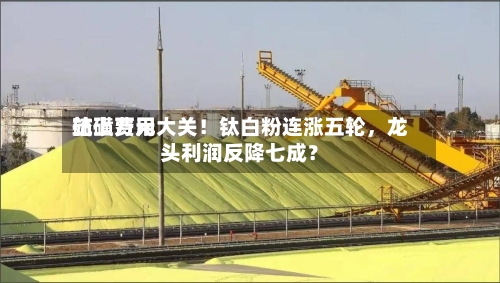 硫磺费用站上万元大关！钛白粉连涨五轮，龙头利润反降七成？