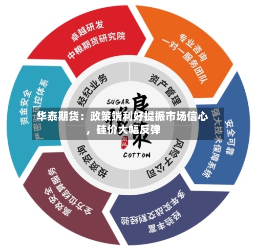 华泰期货：政策端利好提振市场信心，硅价大幅反弹-第3张图片