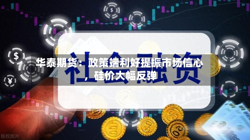 华泰期货：政策端利好提振市场信心，硅价大幅反弹-第2张图片