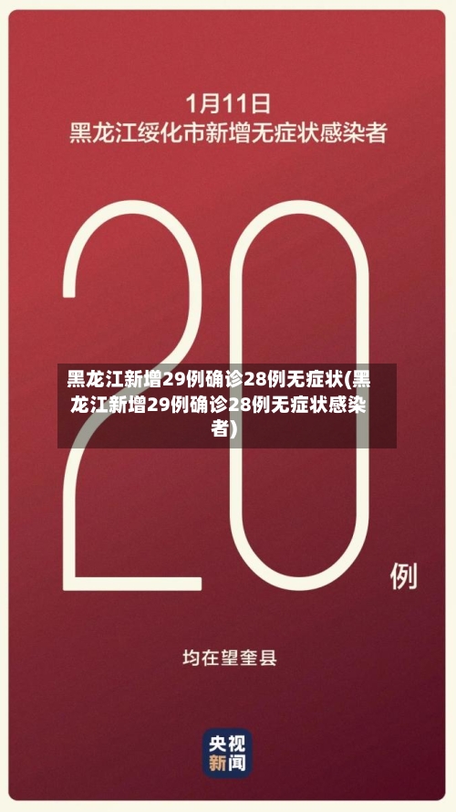 黑龙江新增29例确诊28例无症状(黑龙江新增29例确诊28例无症状感染者)