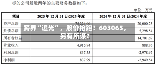 跨界“追光”，股价抢跑！603065	，另有所谋？-第3张图片