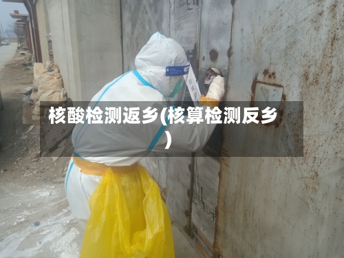 核酸检测返乡(核算检测反乡)