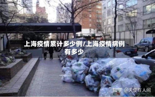 上海疫情累计多少例/上海疫情病例有多少-第2张图片