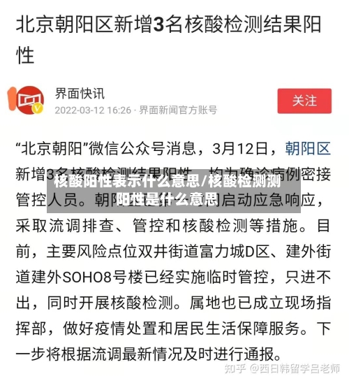 核酸阳性表示什么意思/核酸检测测阳性是什么意思